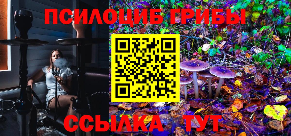 Галлюциногенные грибы Cubensis Волгодонск