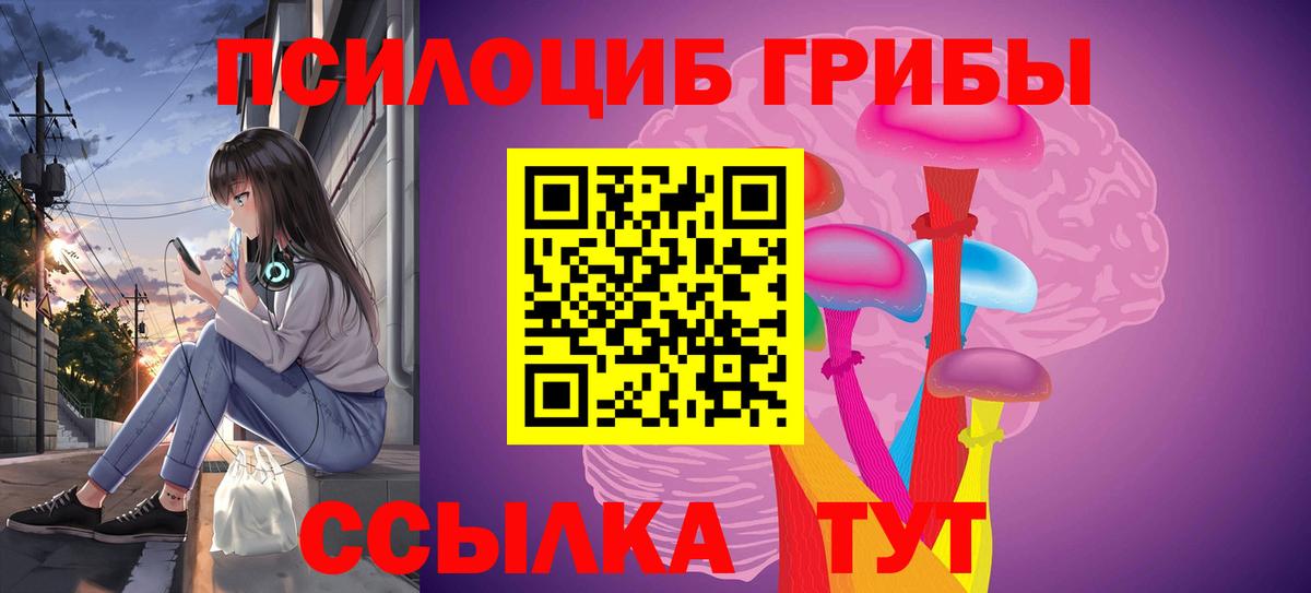 Галлюциногенные грибы Cubensis  Вход с VPN  Волгодонск  Псилоцибиновые грибы прущие грибы 
